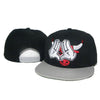 Casquette Vintage Bulls